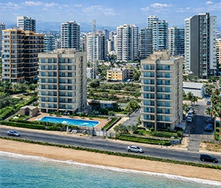ayas saraydes